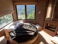 Forest Suites 