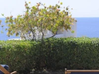Holiday Resort in Siros,Cyclades 