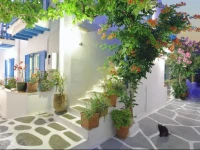 Nazos Hotel 1*