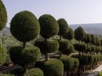 Villa Fivos Mani 