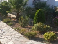 Michelakis Apartments 