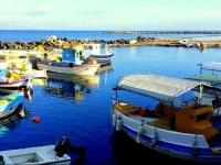 Alexandros Beach House 