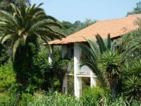 Petros Studios 