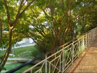 Cavo Mytikas Aparthotel 