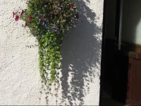 Seggat Farm Holiday Cottages 