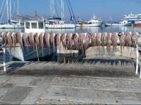 Sailing Gratsia Fitness & Spa 