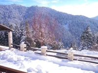 Hotel Magiossi 