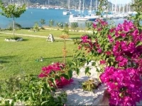 Casa Vacanze Bilocale Nidri 