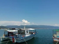 Prime Luxury Villa 