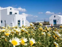 Vino Houses 