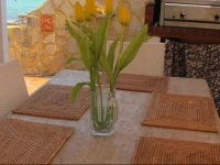 Seafront apartment Ormos Panagias 