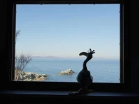 Seagull House 