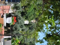 Ponte Rossa Apartments 