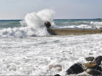 Blue Paradiso
