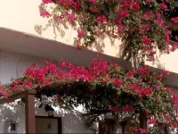 Ostria Rooms 
