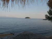 Cosmina 