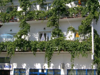 Hotel Theo
