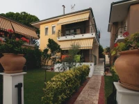 Olive Village 