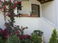 Apanemi Studios 
