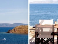 Little Bird Lesvos 