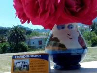 Studio Evridiki 