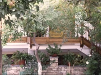 Pension Dryoussa 
