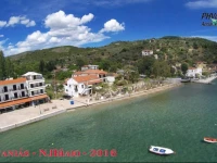 Delfinia Studios 