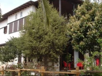 Villa Tama 