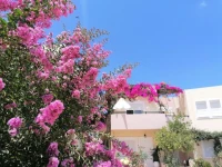 Mariliana 