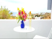 Paradise house 