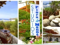 Studios Manos Flora 