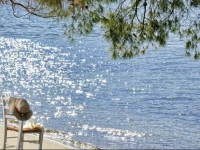 Xenia Poros Image Hotel 