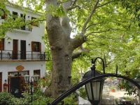 Gastronomy Hotel Kritsa 