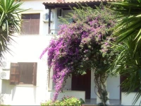 Hotel Elytis 