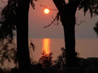 Ktima Papaoikonomou 