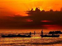 Alexander Seaside