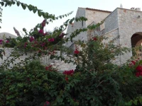 Althea Village 
