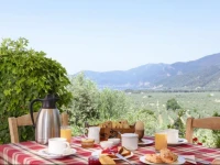 Eleonas Guesthouse 