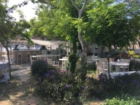Mersini 