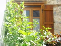 Aggela Guesthouse 