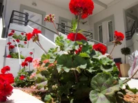 Elia Stalos Apartments 