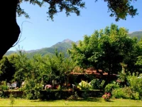 Alekas Studios 