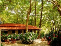 Tasoula Parselia Studios 