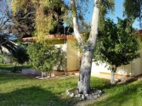 Danaides Bungalows 
