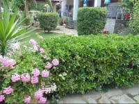House Evristhenis 2 