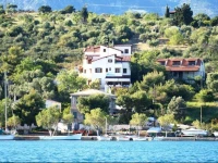 Drymna 