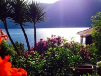 Villa Delfini 