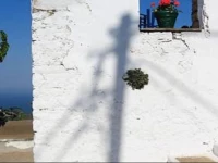 О‘lexandros 