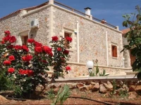 Viola Suites 