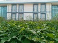 Gunisigi Hotel 